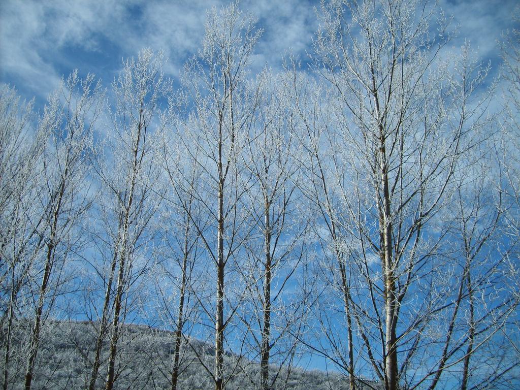 El Valle Perdido Casas Rurales Revelillas Esterno foto